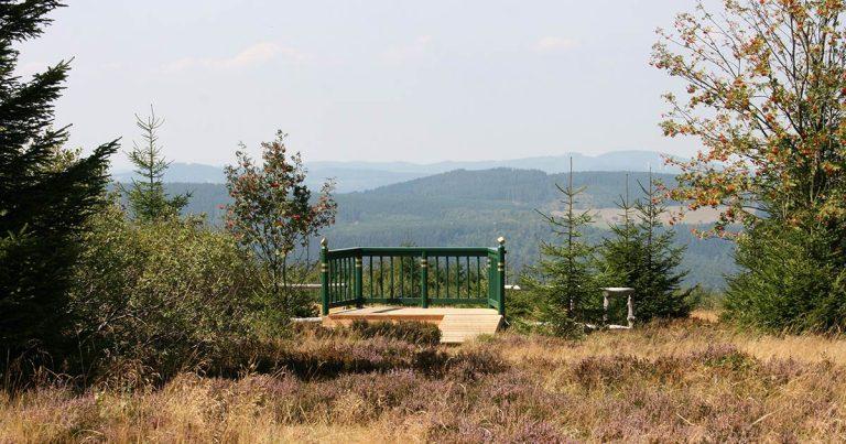 220802 Niedersfeld hochheide