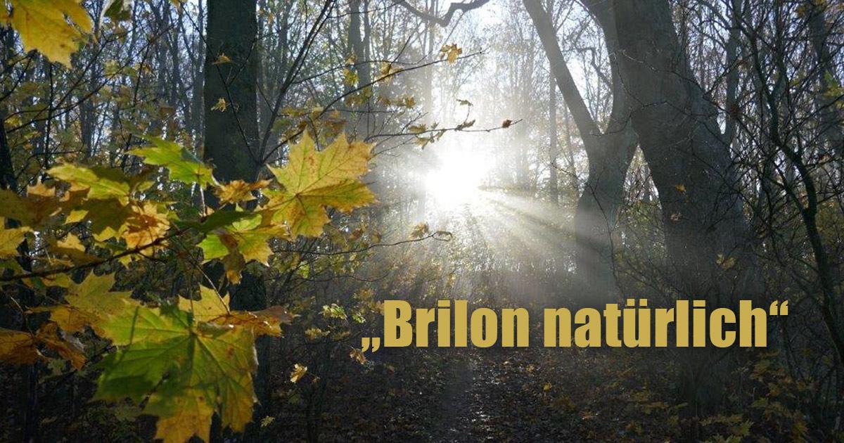 220929 natur brilon