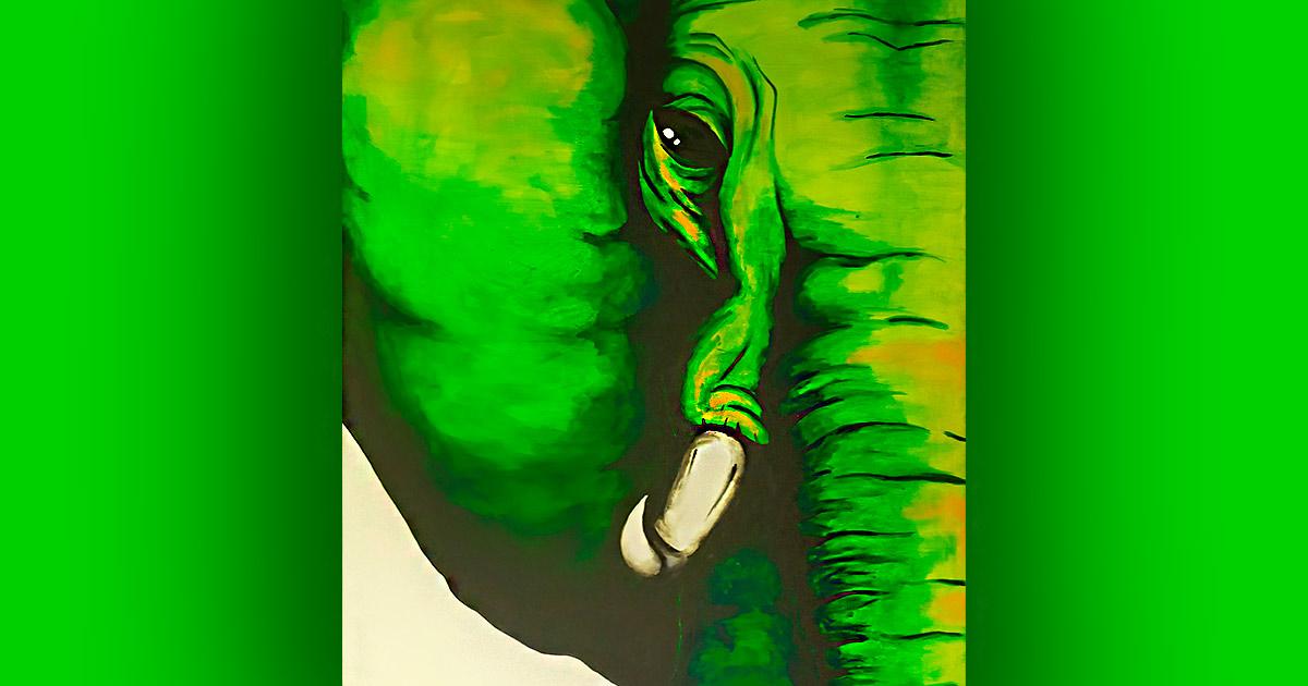 221106 elefant horizonz