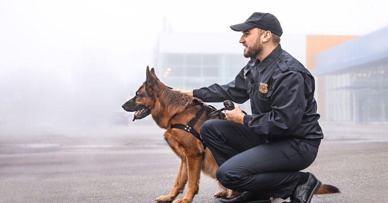 221117 polizeihund