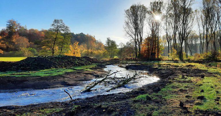 Alme Ringelstein Renaturierung der Almeaue