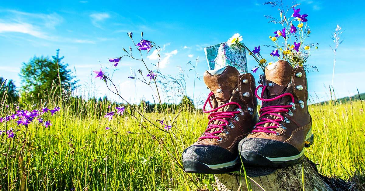 Betriebsausflug der Stadt Brilon Totallokal Wandern