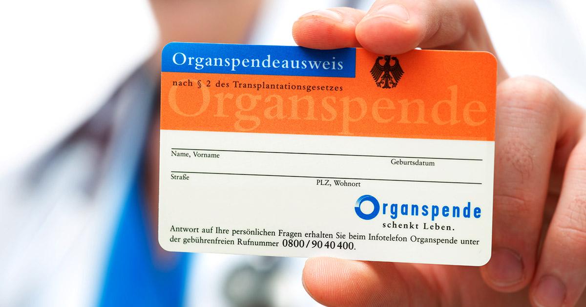 Organspende Informationen Warstein Brilon Totallokal