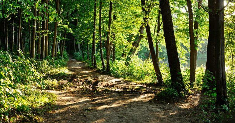 Waldbaden Brilon Olsberg Totallokal