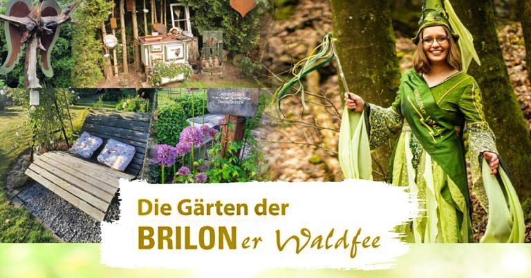 Briloner Waldfee laedt zu den offenen Gaerten am 02.07.2023 ein