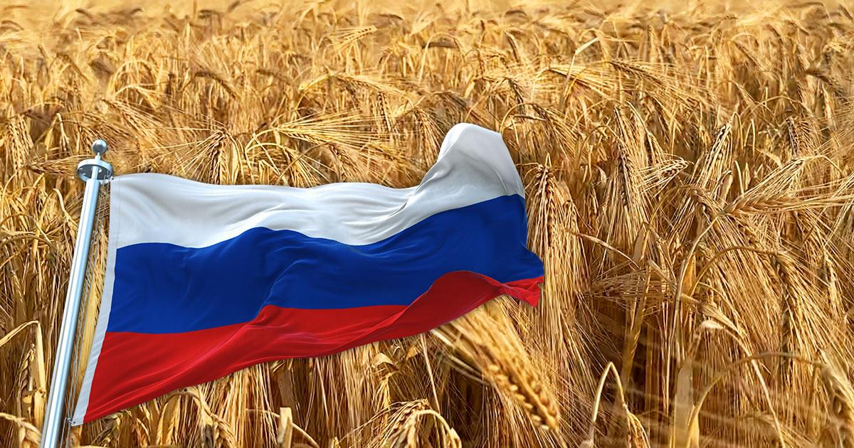 russland getreidelieferung