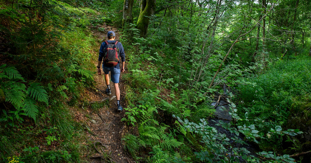 Rothaarsteig Spur Groenebacher Dorfpfad