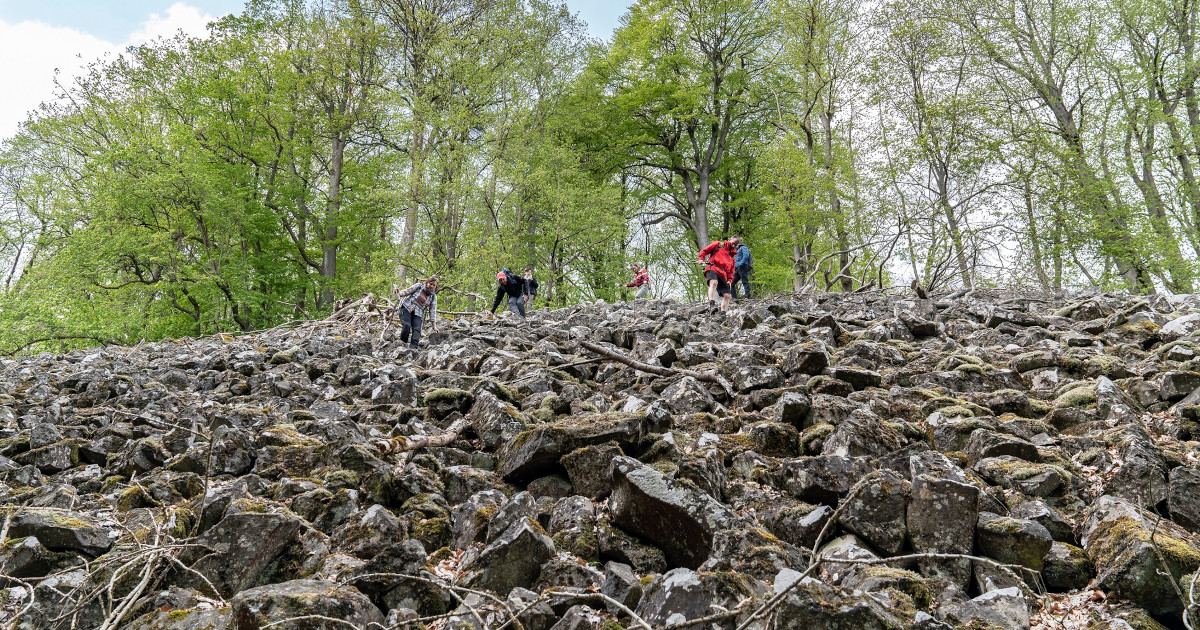 Rothaarsteig Spur Romantischer Hickengrund