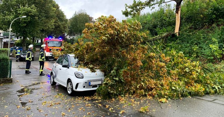 Buaum krachte auf Auto