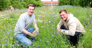 Insektenparadies auf dem Campus